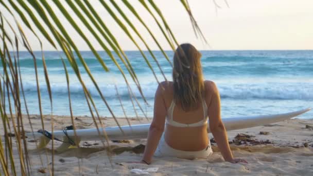 FECHAR UP: Jovem surfista menina senta-se na praia exótica e observa o nascer do sol. — Vídeo de Stock
