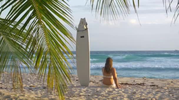 SLOW MOTION: Młoda surferka siedzi obok swojej deski surfingowej tkwiącej w piasku. — Wideo stockowe