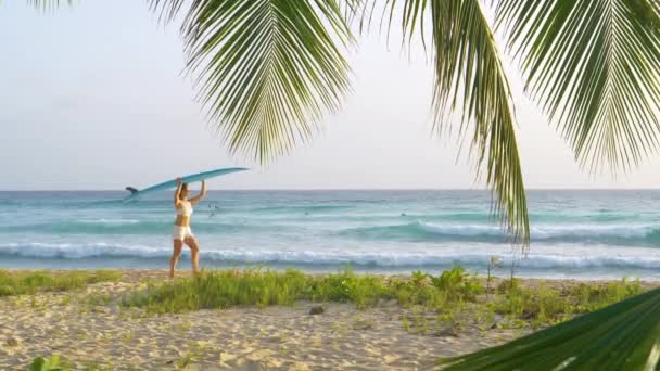 Surfista femenina camina por la playa de arena blanca con una tabla de surf en la cabeza . — Vídeos de Stock