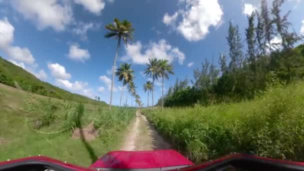 POV: Mit einem roten Geländewagen auf einem leeren Weg durch tropisches Land — Stockvideo
