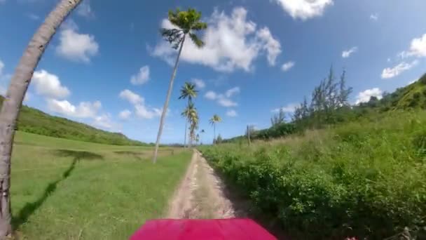 POV: Leere Feldwege führen unter Palmen und durch die üppige ländliche Landschaft — Stockvideo