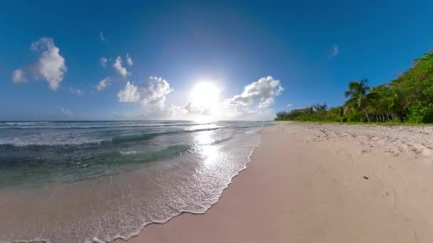 Ljus sommar morgon solstrålar lysa på tropisk vit sandstrand i Karibien. — Stockvideo
