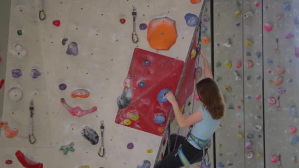 STÄNGA UPP: Fokuserad tonåring klättrar en svår väg medan bly klättring inomhus. — Stockvideo