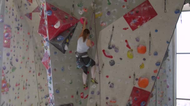 SLOW MOTION: Junge Frau erreicht Spitze des Klettersteigs beim Hochseilgarten. — Stockvideo