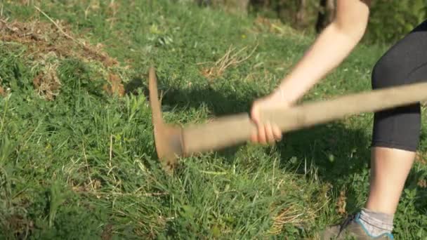 CLOSE UP Young woman strikes pickaxe at the lawn and gets rid of unwanted plants — Stock Video