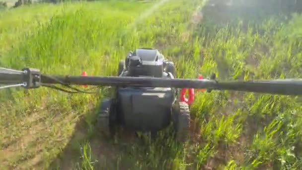 POV : Jardinier coupe la pelouse non entretenue avec une tondeuse à gazon forte par une journée d'été ensoleillée. — Video