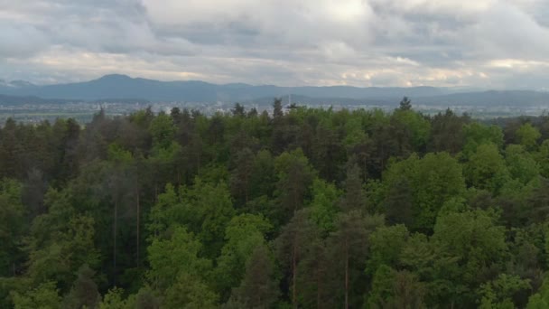 별나라: 회색 구름을 뚫고 류블랴나 시로 비치는 황금빛 태양 광선 — 비디오
