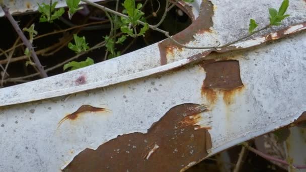 Bezárás: Részletes kép a rozsda elterjedéséről az elhagyott jármű karosszériáján. — Stock videók