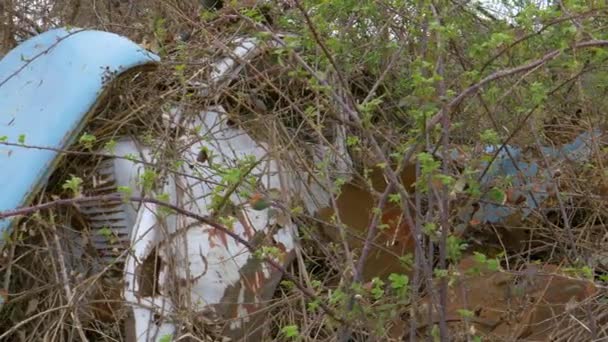 CERRAR Los arbustos en ciernes sobrecrecen camión antiguo dejado para deteriorarse en la naturaleza — Vídeos de Stock