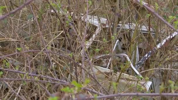 CERRAR: Los arbustos salvajes crecen sobre un vehículo de época abandonado en el campo . — Vídeos de Stock
