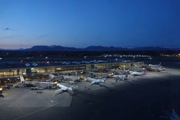 AERIAL: Fleet of passenger aircraft getting serviced at night before boarding. — 图库照片