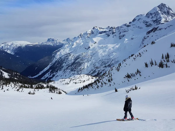 Extrém női snowboardos élvezi a kilátást az érintetlen kanadai vadon. — Stock Fotó