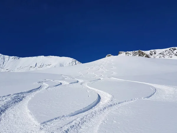 Taze tozla kaplı el değmemiş beyaz dağdan aşağı yuvarlanan kayak izleri.. — Stok fotoğraf