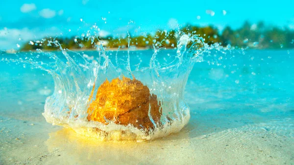 MACRO, DOF: Harige kokosnoot valt van de boom en landt in het glazige water. — Stockfoto