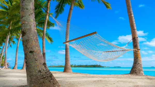 LOW ANGLE: Empty rope hammock under the lush palm trees on sandy tropical beach. — Stock Photo, Image