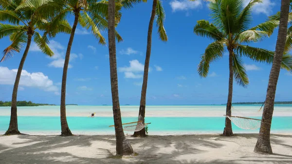 Zwei leere Hängematten schwingen in der Sommerbrise, die am Sandstrand weht. — Stockfoto