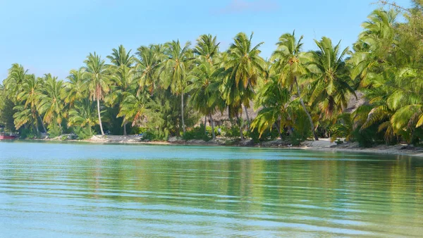 Superbes villas de vacances en bois cachées dans des palmiers luxuriants couvrant une île exotique. — Photo