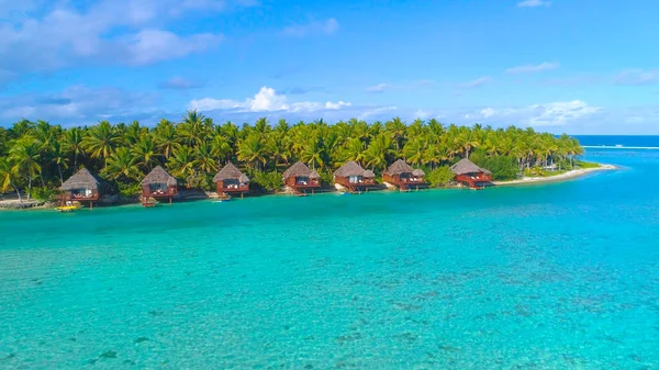 AERIAL: Flyg längs tropiska öns kust och lyxiga bungalows i Aitutaki. — Stockfoto