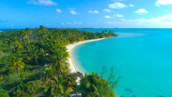 AERIAL: Voando sobre a vegetação verde vívida que cobre a ilha paradisíaca . — Fotografia de Stock