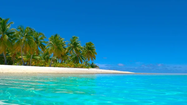 COPY SPACE: acqua cristallina dell'oceano rotola oltre la bellissima spiaggia di sabbia bianca. — Foto Stock