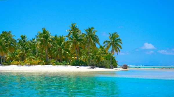 ÁNGULO BAJO El tranquilo agua del océano brilla bajo el sol de verano que brilla en la isla paradisíaca — Foto de Stock