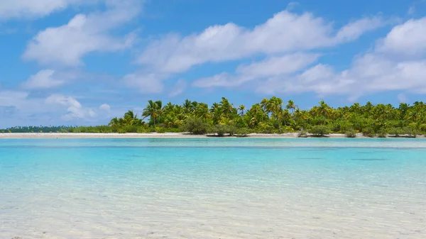 COPY szóköz: buja pálmafák borítja az érintetlen trópusi sziget a csendes-óceáni. — Stock Fotó
