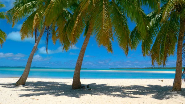 Чудовий знімок незіпсованого тропічного пляжу на мальовничих островах Кука.. — стокове фото