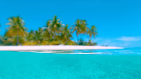 반시뱀: 모래가 많은 열대 해변과 청록색 바다의 흐릿 한 사진. — 스톡 사진