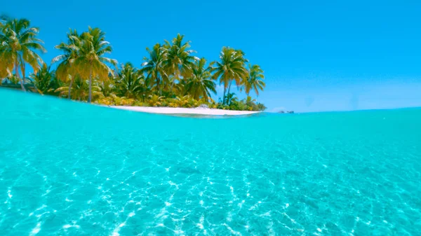 HALF IN HALF OUT: Idyllic shot of palm trees and the tranquil turquoise ocean. — Stock Photo, Image