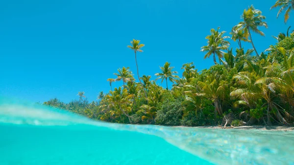 HALF-HALF: Skonsam kristallklar havsvåg rullar förbi den idylliska tropiska stranden — Stockfoto