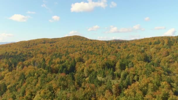 AEREO: Colpo cinematografico di volare sopra foresta cambiando i colori nella soleggiata giornata autunnale — Video Stock