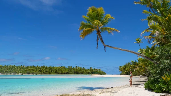 ESPACIO DE COPIA: Mujer joven parada bajo la palmera torcida que se extiende sobre la playa — Foto de Stock