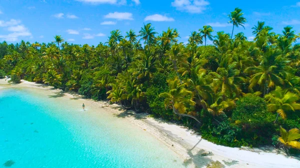 AERIAL: Vliegen weg van meisje wandelen in rustig oceaanwater en het observeren van palmen. — Stockfoto