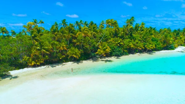 DRONE: Tourist girl in bikini walks into the shallow turquoise ocean water. — Stock Photo, Image