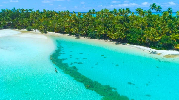 DRONE: Ragazza irriconoscibile in bikini che cammina verso la lussureggiante isola tropicale. — Foto Stock