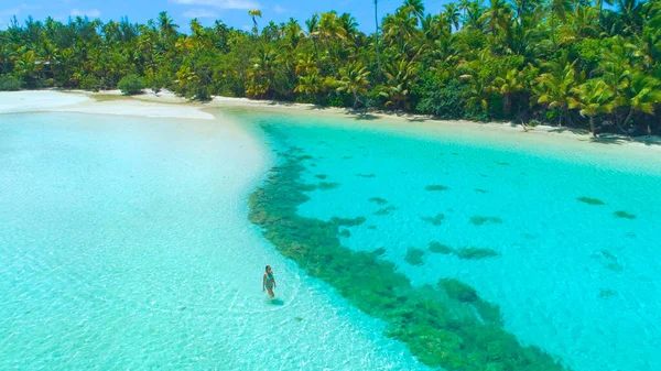 DRONE: Chica turística en bikini camina en el agua superficial del océano turquesa. — Foto de Stock