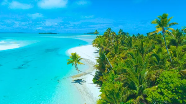 AERIAL: Kleines Boot steckt am Sandstrand der üppigen Tropeninsel fest. — Stockfoto