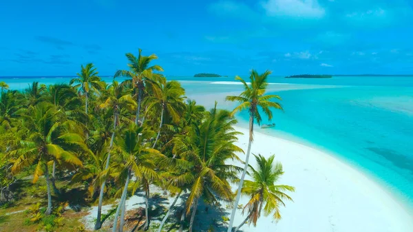 DRONE: Prachtig uitzicht op weelderig exotisch eiland in de turquoise Stille Oceaan. — Stockfoto