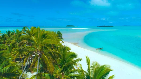 AERIAL: Beautiful shot of palm tree covered island with untouched sand shoreline — Stock Photo, Image