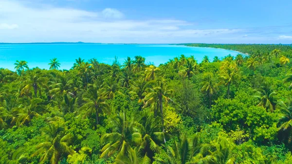 AERIAL: Voando sobre a exuberante vegetação tropical que cobre a ilha remota. — Fotografia de Stock