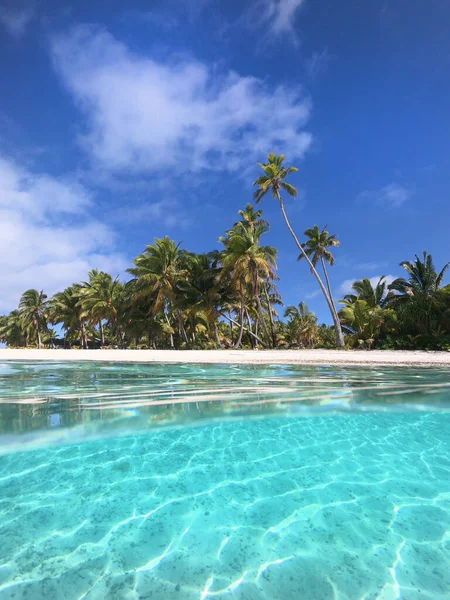 HALF UNDERWATER : Nature tropicale pittoresque et océan turquoise spectaculaire — Photo