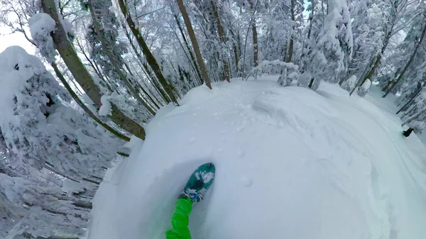 POV: Tallando la nieve fresca a través del impresionante bosque de coníferas en los Alpes. —  Fotos de Stock