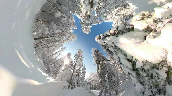 POV Perfect clear blue sky above you while snowboarding through the snowy forest — Stock Photo, Image
