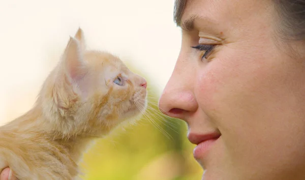 Sluiten omhoog, DOF: Gelukkig meisje houdt een nieuwsgierige oranje baby kat dicht bij haar gezicht. — Stockfoto