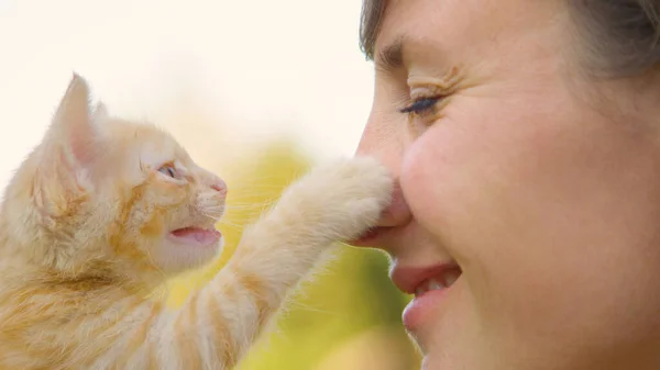 Sluiten omhoog: Medue oranje tabby kitten raakt lachende liefdevolle vrouw neus. — Stockfoto