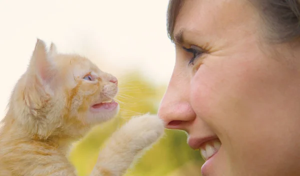 CERRAR UP Hermosa mujer alegre recoge un gato bebé y mira a sus ojos azules —  Fotos de Stock