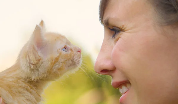 CLOSE UP: Nieuwsgierig oranje tabby kitten met mooie blauwe ogen kijkt naar vrouw. — Stockfoto