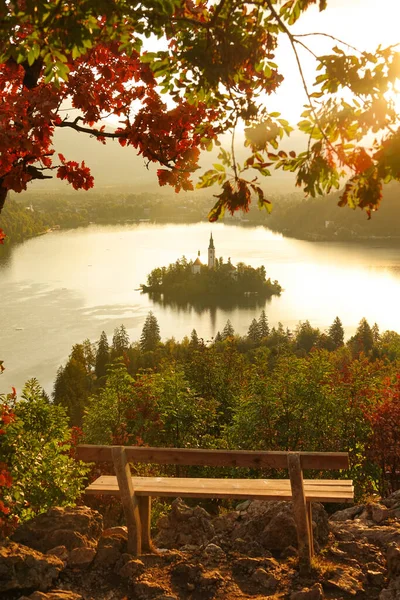 Sluiten omhoog: Eenzame bank met uitzicht op prachtige meer Bled op een rustige zomeravond. — Stockfoto