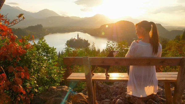 SOLE FLARE: Felice giovane donna e il suo adorabile cane guardando il tramonto su Bled. — Foto Stock