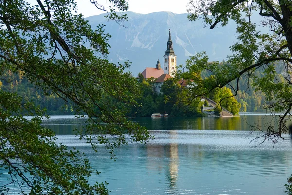 Ramos de árvores verdes exuberantes cobrem a vista da deslumbrante igreja no lago Bled. — Fotografia de Stock